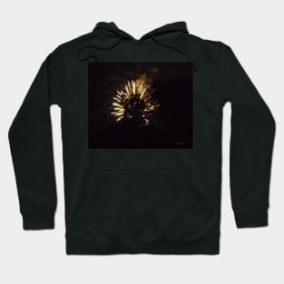 3rd of July Fireworks 10 Hoodie